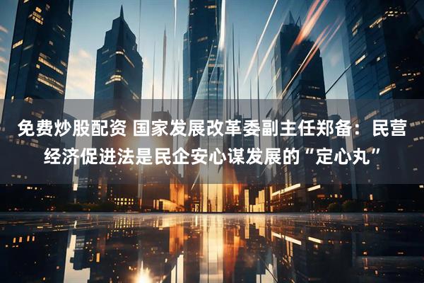 免费炒股配资 国家发展改革委副主任郑备：民营经济促进法是民企安心谋发展的“定心丸”